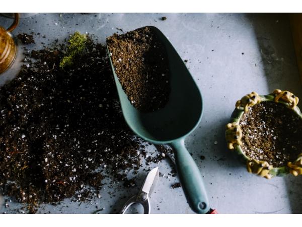 珠海醫(yī)院學(xué)校保潔服務(wù)規(guī)范：專(zhuān)業(yè)清潔守護(hù)師生患者健康